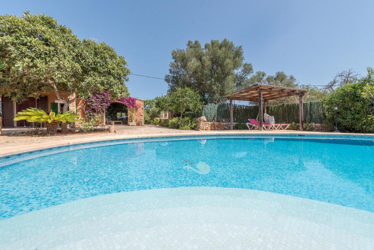 Vakantiehuis Pereta By Mallorca House Rent Felanitx